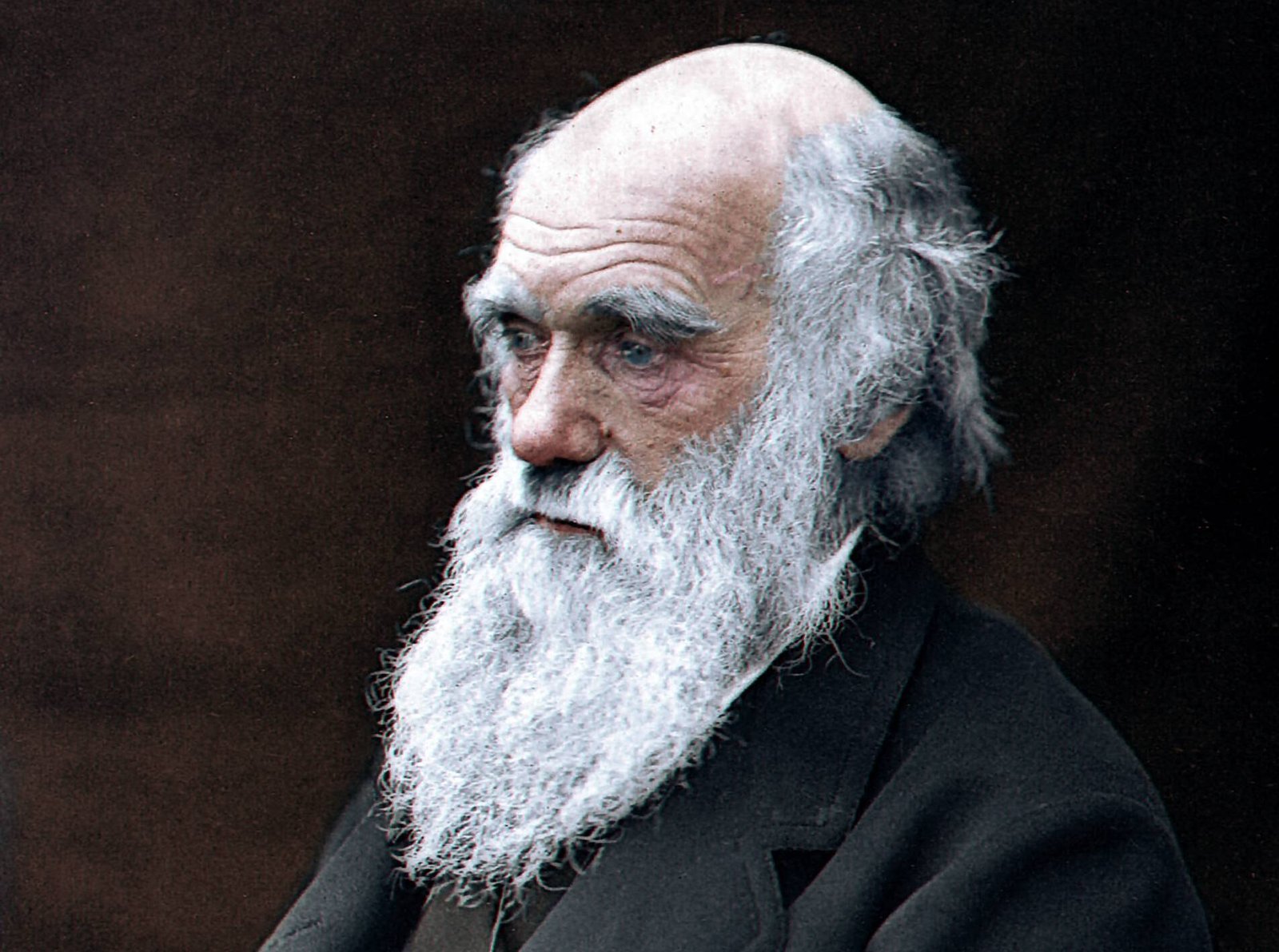 Gambar Charles Darwin