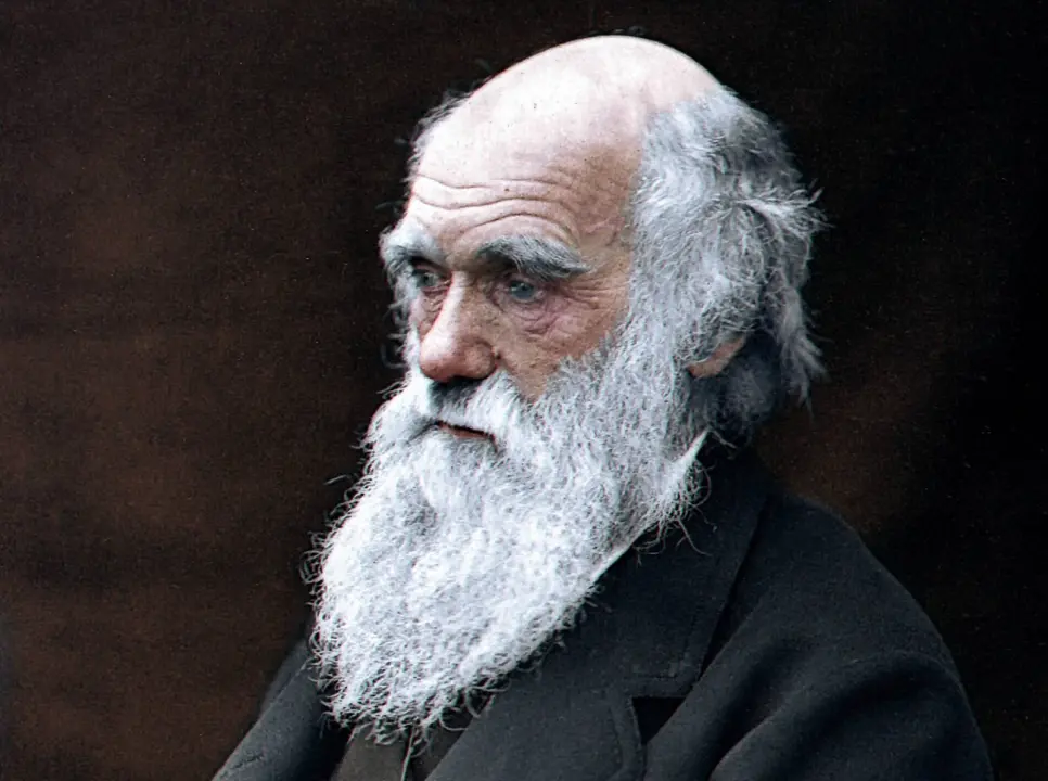 Perjalanan Akademik Charles Darwin: Dari Observasi Alam hingga Teori Evolusi